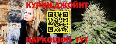 гашик Заводоуковск
