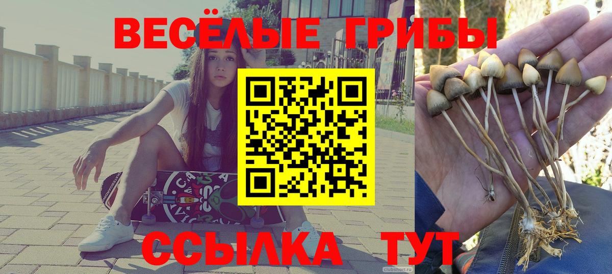 Галлюциногенные грибы MAGIC MUSHROOMS  купить наркоту  Миасс  Вход с VPN 