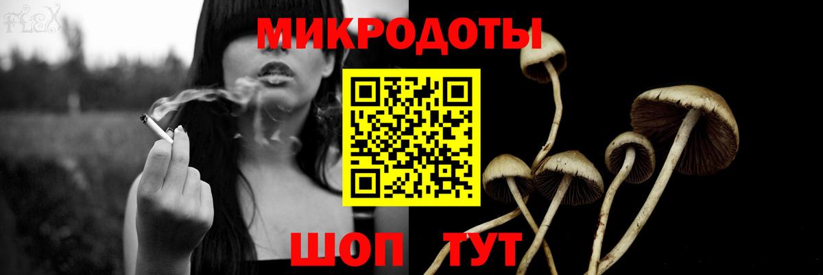 Галлюциногенные грибы Psilocybe Миасс